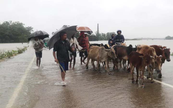 আবার বৃষ্টি, উদ্বিগ্ন বানভাসিরা